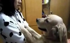 青青青国产精品免费观看